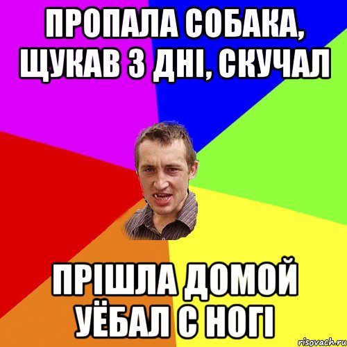 Пропала собака, щукав 3 днi, скучал прiшла домой уёбал с ногi, Мем Чоткий паца