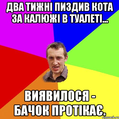 Два тижні пиздив кота за калюжі в туалеті... Виявилося - бачок протікає., Мем Чоткий паца