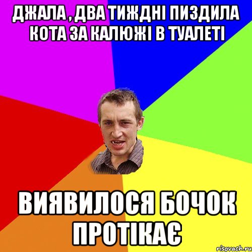 Джала , два тиждні пиздила кота за калюжі в туалеті Виявилося бочок протікає, Мем Чоткий паца