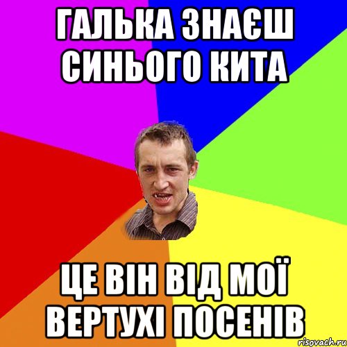 галька знаєш синього кита це він від мої вертухі посенів, Мем Чоткий паца