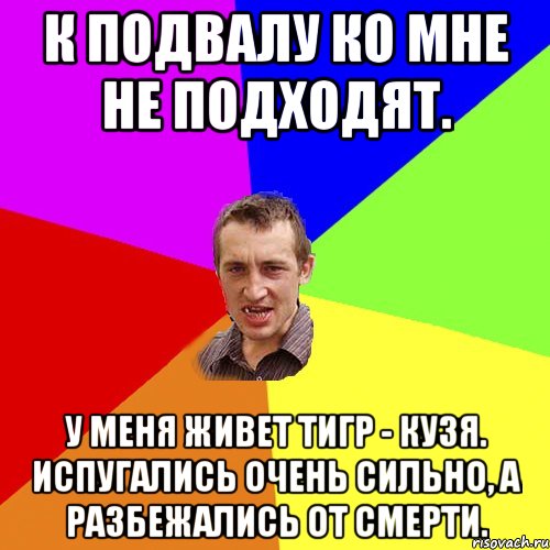 К подвалу ко мне не подходят. У меня живет тигр - Кузя. Испугались очень сильно, а разбежались от смерти., Мем Чоткий паца