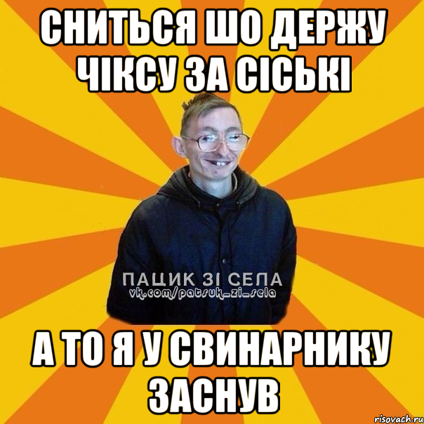 сниться шо держу чіксу за сіські а то я у свинарнику заснув