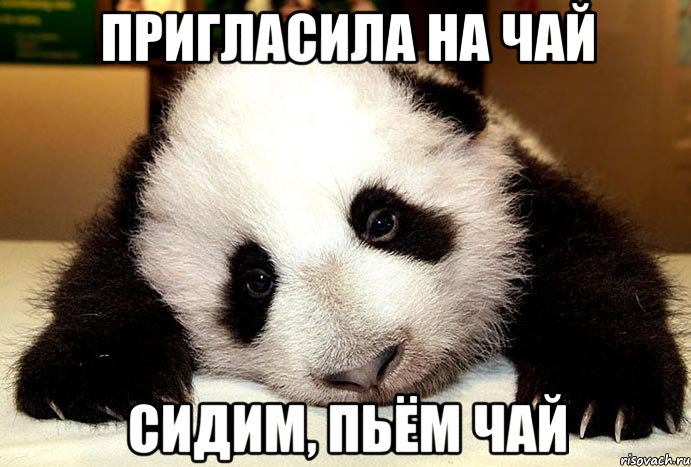 Пригласила на чай Сидим, пьём чай