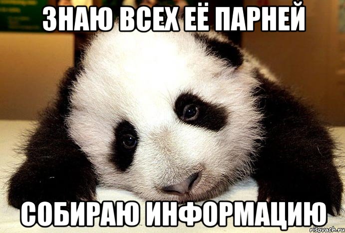 Знаю всех её парней Собираю информацию