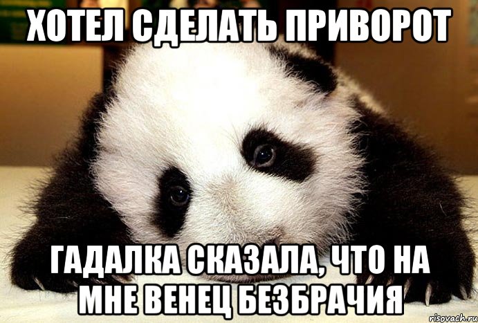 Хотел сделать приворот Гадалка сказала, что на мне венец безбрачия