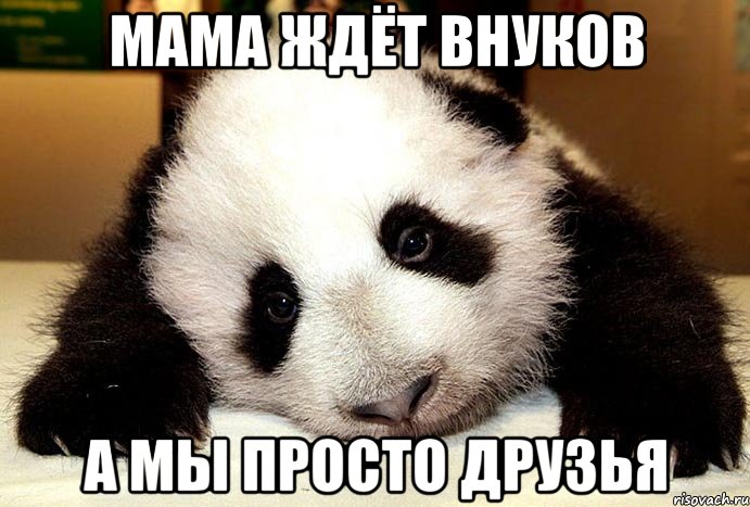 Мама ждёт внуков а мы просто друзья