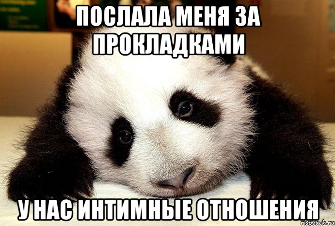 Послала меня за прокладками У нас интимные отношения
