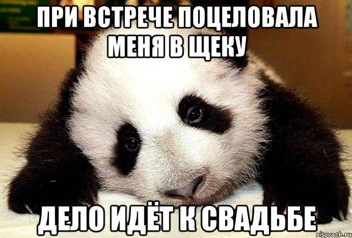 При встрече поцеловала меня в щеку ДЕЛО ИДЁТ К СВАДЬБЕ
