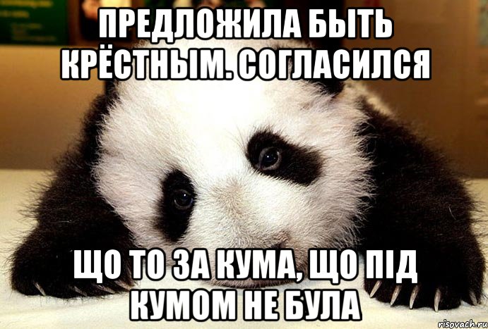 Предложила быть крёстным. Согласился Що то за кума, що під кумом не була