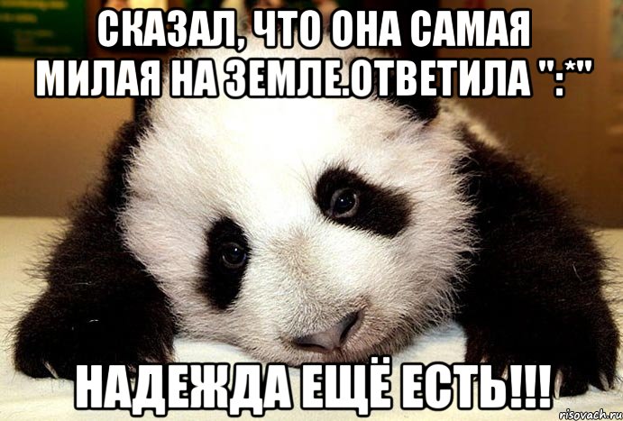 Сказал, что она самая милая на Земле.Ответила ":*" Надежда ещё есть!!!