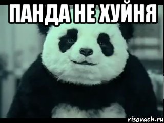 Панда не хуйня , Мем Не отказывай панде
