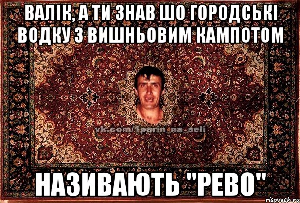 валік, а ти знав шо городські водку з вишньовим кампотом називають "рево", Мем Парнь на сел