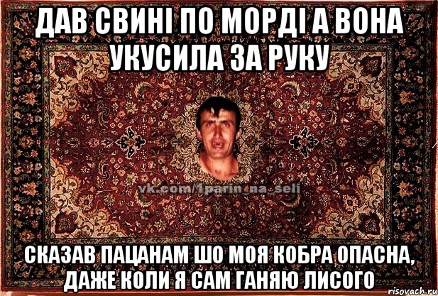 дав свині по морді а вона укусила за руку сказав пацанам шо моя кобра опасна, даже коли я сам ганяю лисого