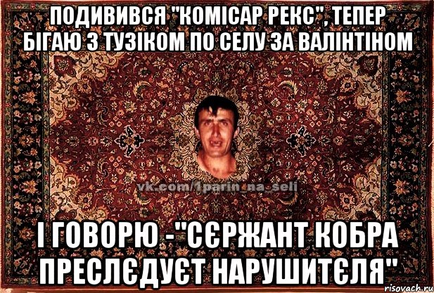 подивився "комісар рекс", тепер бігаю з тузіком по селу за валінтіном і говорю -"сєржант кобра преслєдуєт нарушитєля", Мем Парнь на сел