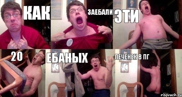 Как ЗАЕБАЛИ ЭТИ 20 ЕБАНЫХ печенек в пг