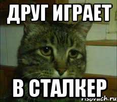 друг играет в сталкер, Мем печальный кот