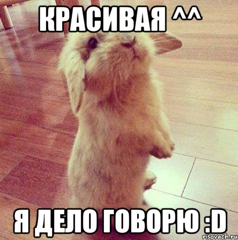 Красивая ^^ Я дело говорю :D