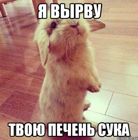 я вырву твою печень сука