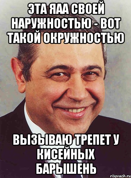 эта яаа своей наружностью - вот такой окружностью вызываю трепет у кисейных барышень, Мем петросян