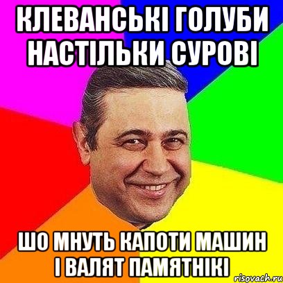 Клеванські голуби настільки сурові Шо мнуть капоти машин і валят памятнікі, Мем Петросяныч