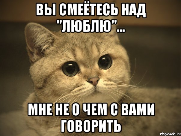 вы смеётесь над "люблю"... мне не о чем с вами говорить, Мем Пидрила ебаная котик