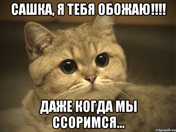 Сашка, я тебя обожаю!!!! даже когда мы ссоримся..., Мем Пидрила ебаная котик