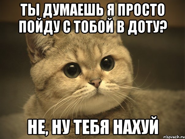 Ты думаешь я просто пойду с тобой в доту? Не, ну тебя нахуй, Мем Пидрила ебаная котик