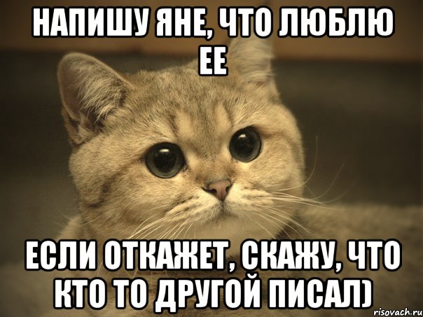 Напишу Яне, что люблю ее Если откажет, скажу, что кто то другой писал), Мем Пидрила ебаная котик