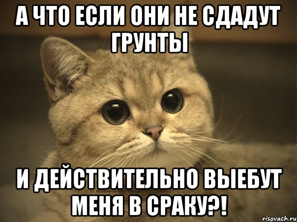 А что если они не сдадут грунты и действительно выебут меня в сраку?!, Мем Пидрила ебаная котик