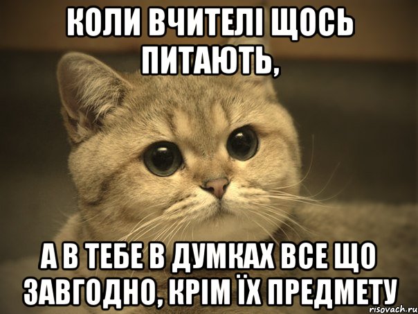 КОЛИ ВЧИТЕЛІ ЩОСЬ ПИТАЮТЬ, А В ТЕБЕ В ДУМКАХ ВСЕ ЩО ЗАВГОДНО, КРІМ ЇХ ПРЕДМЕТУ, Мем Пидрила ебаная котик