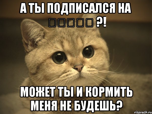 А ты подписался на 私が死んだ ?! Может ты и кормить меня не будешь?, Мем Пидрила ебаная котик