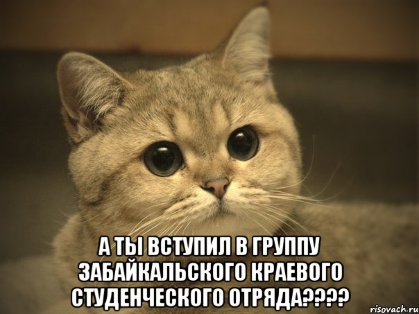  А ты вступил в группу Забайкальского краевого студенческого отряда????, Мем Пидрила ебаная котик