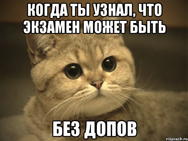 Когда ты узнал, что экзамен может быть без допов, Мем Пидрила ебаная котик