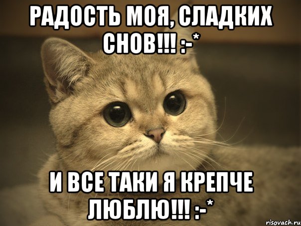 РаДоСтЬ МоЯ, СлАдКиХ СнОв!!! :-* И ВсЕ ТаКи Я КрЕпЧе ЛюБлЮ!!! :-*, Мем Пидрила ебаная котик