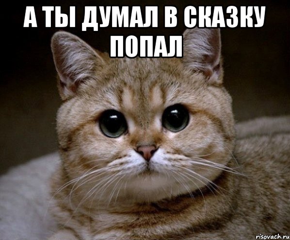 А ТЫ ДУМАЛ В СКАЗКУ ПОПАЛ , Мем Пидрила Ебаная