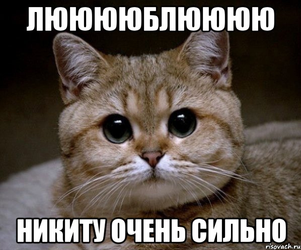 лююююблюююю никиту очень сильно