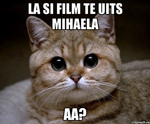 la si film te uits Mihaela aa?, Мем Пидрила Ебаная