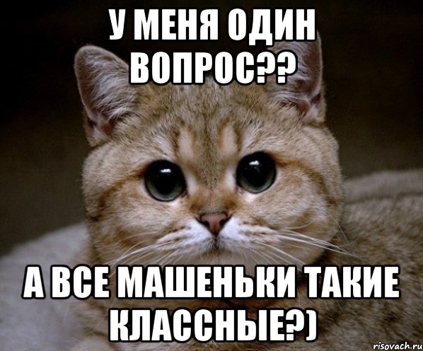 У меня один вопрос?? А все Машеньки такие классные?)
