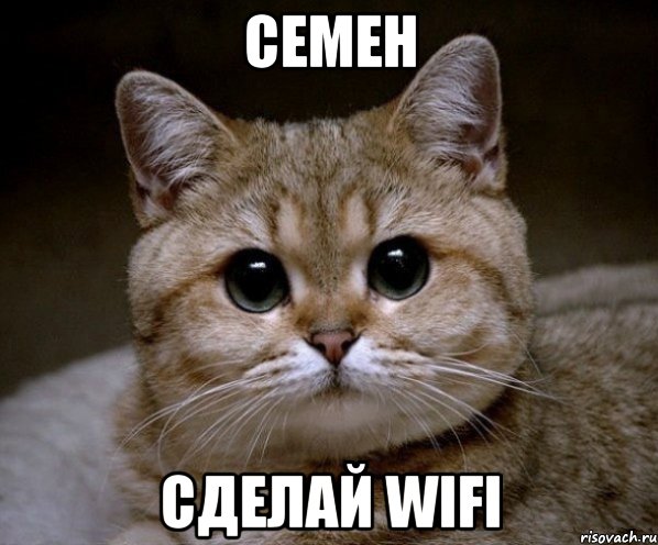 СЕМЕН СДЕЛАЙ wifi, Мем Пидрила Ебаная