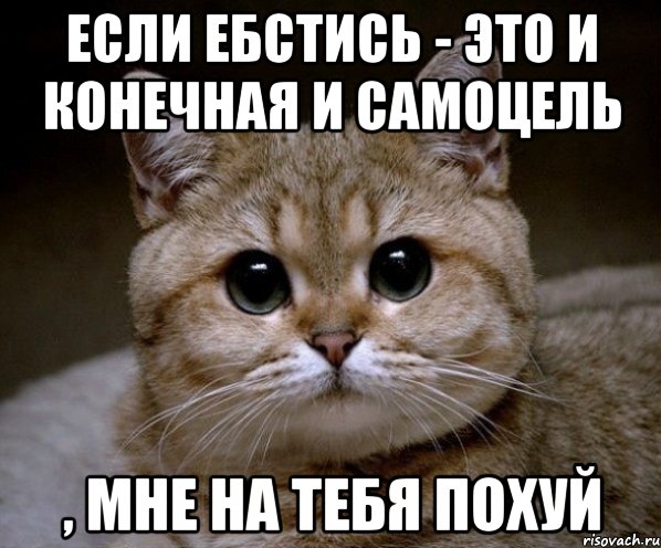 если ебстись - это и конечная и самоцель , мне на тебя похуй, Мем Пидрила Ебаная