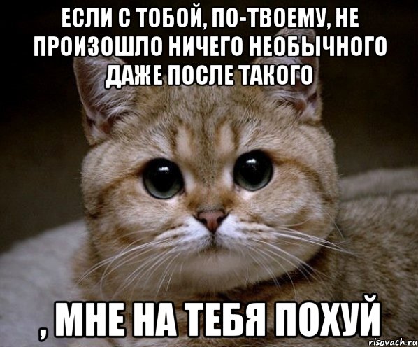 если с тобой, по-твоему, не произошло ничего необычного даже после такого , мне на тебя похуй, Мем Пидрила Ебаная