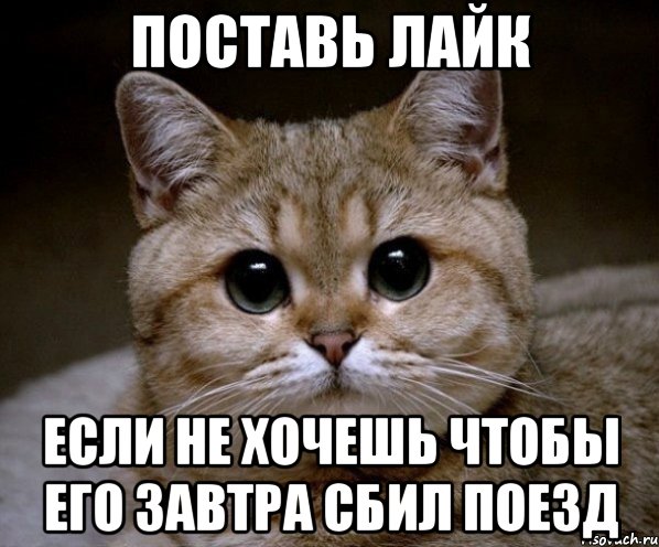 Поставь лайк если не хочешь чтобы его завтра сбил поезд, Мем Пидрила Ебаная