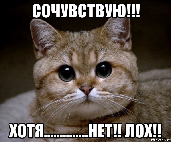 СОЧУВСТВУЮ!!! ХОТЯ..............НЕТ!! ЛОХ!!, Мем Пидрила Ебаная