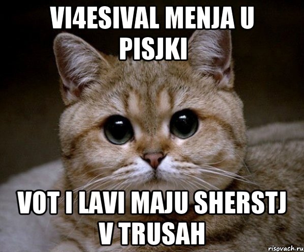 VI4ESIVAL MENJA U PISJKI VOT I LAVI MAJU SHERSTJ V TRUSAH, Мем Пидрила Ебаная