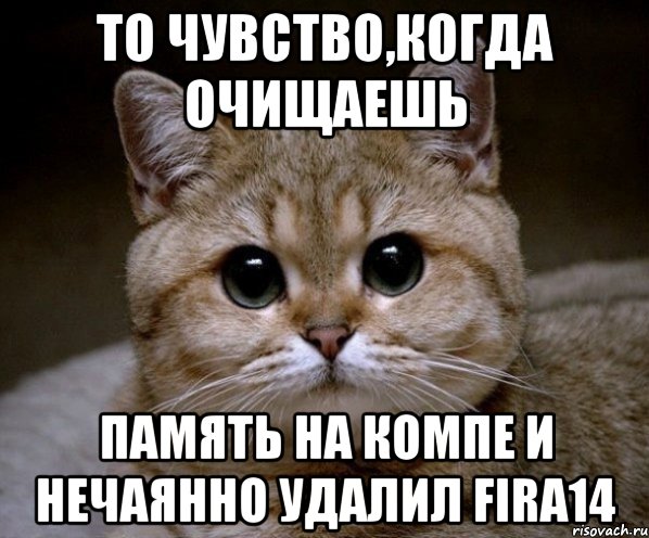 То чувство,когда очищаешь Память на компе и нечаянно удалил Fira14, Мем Пидрила Ебаная