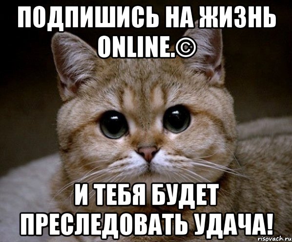 Подпишись на Жизнь online.© И тебя будет преследовать удача!, Мем Пидрила Ебаная