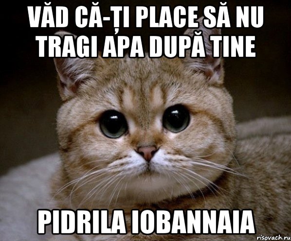 Văd că-ţi place să nu tragi apa după tine pidrila iobannaia, Мем Пидрила Ебаная