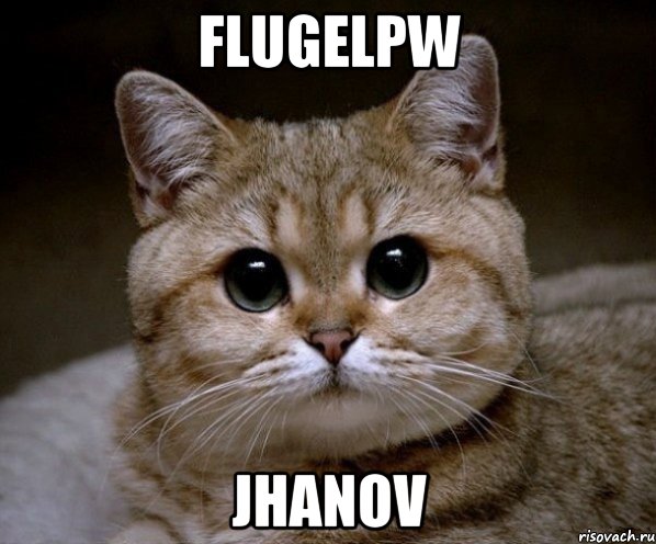 FlugelPW Jhanov, Мем Пидрила Ебаная