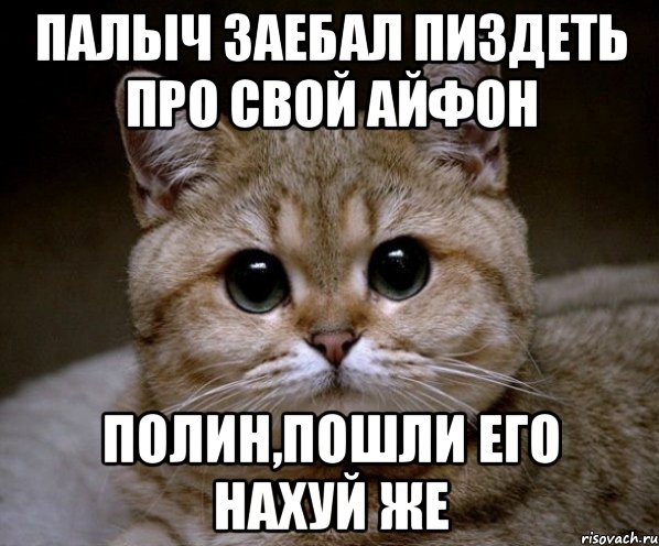 Палыч заебал пиздеть про свой айфон Полин,пошли его нахуй же, Мем Пидрила Ебаная