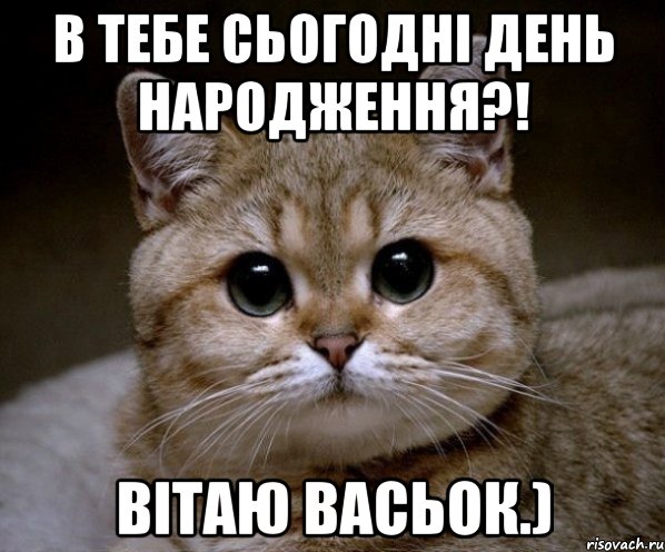 В тебе сьогодні день народження?! Вітаю Васьок.), Мем Пидрила Ебаная